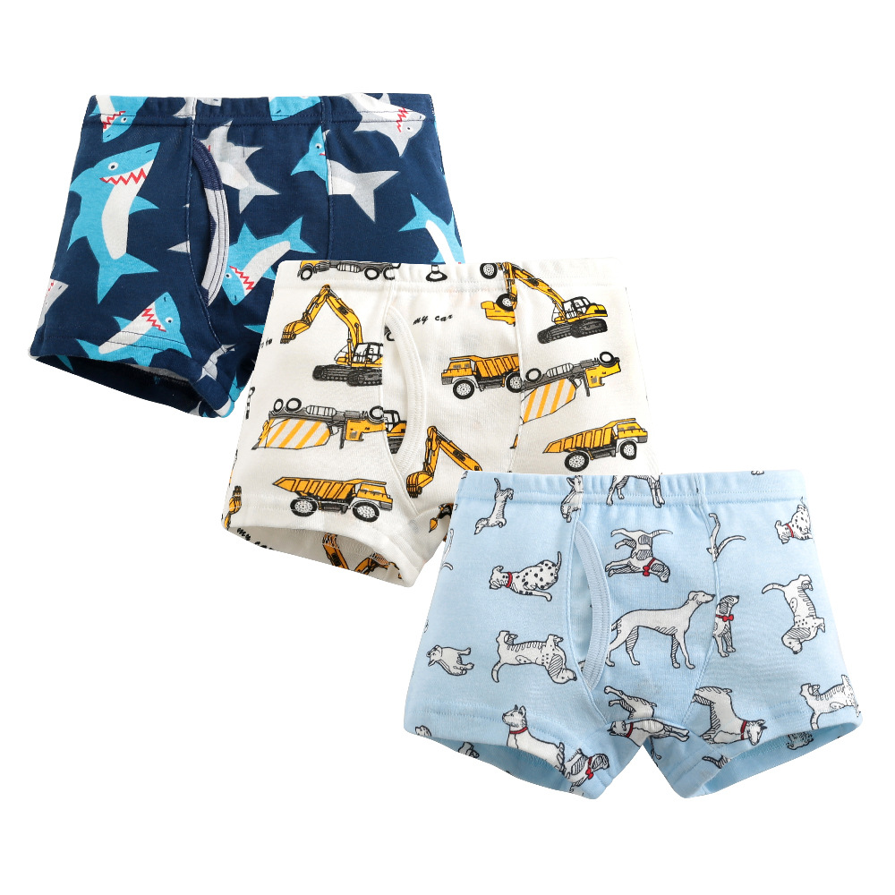 3pcs/lot 2020 New Boys Panties - Baby Clothing Dividers 评论和价格